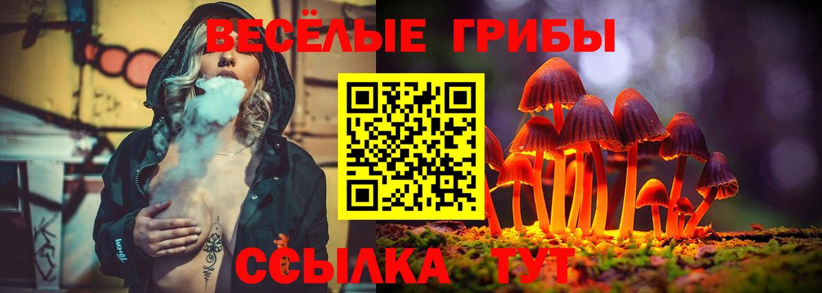 Галлюциногенные грибы Magic Shrooms  Псилоцибиновые грибы Psilocybine cubensis  Вход с VPN  Ангарск 
